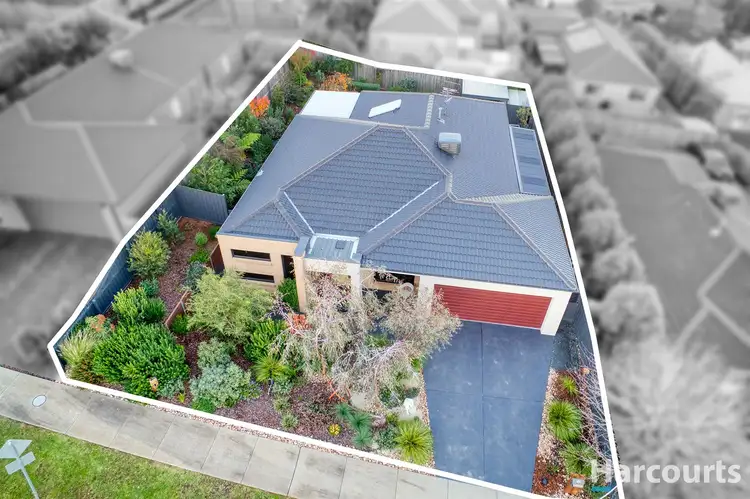 16 Todman Street, Drouin VIC 3818