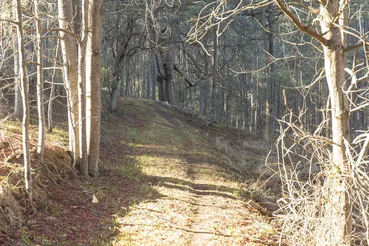 Sixth view of Homely land listing, Lot 1 Dougs Road, Cygnet TAS 7112