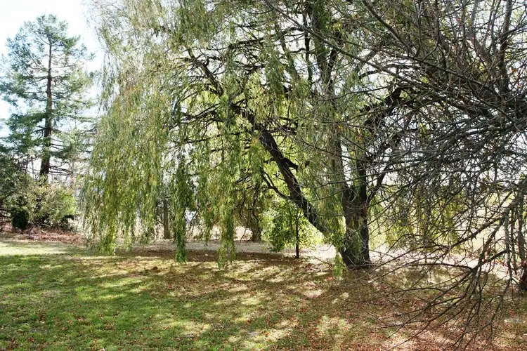 Third view of Homely unit listing, PID 6411564 Legge Street, Fingal TAS 7214