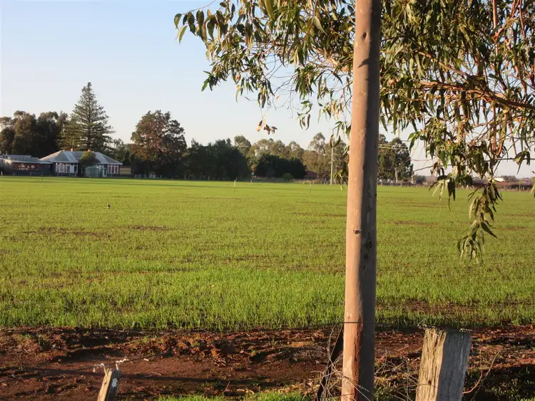 Fourth view of Homely rural property listing, 600 Turnbull Road, Ardmona VIC 3629