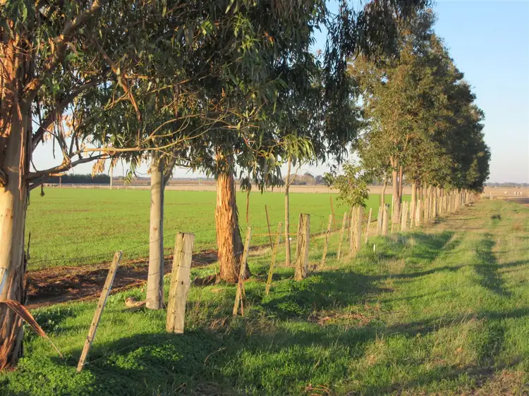 Fifth view of Homely rural property listing, 600 Turnbull Road, Ardmona VIC 3629