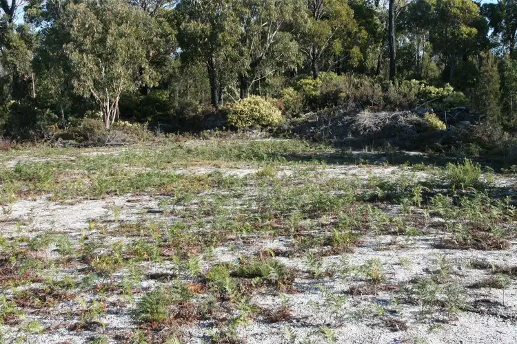 Second view of Homely land listing, Lot 41 Malibu Street, Scamander TAS 7215