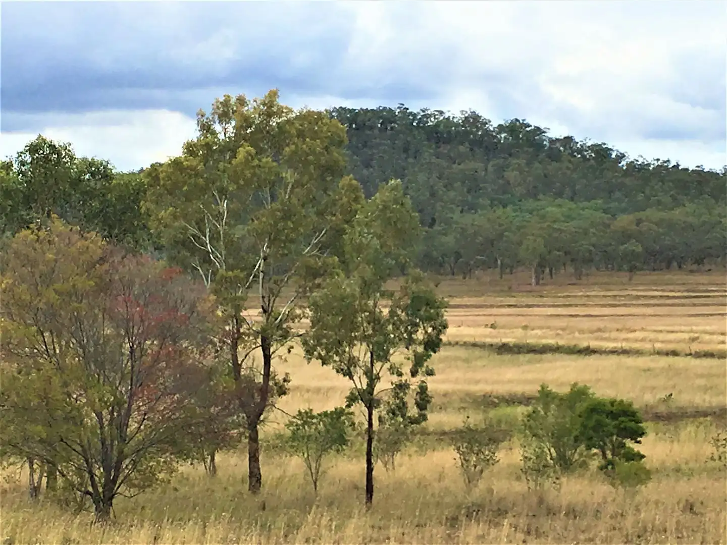 Main view of Homely rural property listing, Lot 2 Saal Road, Spring Creek QLD 4361