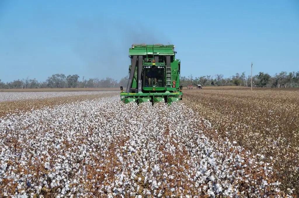 Main view of Homely rural property listing, 275 Spring Plains Road, Narrabri NSW 2390