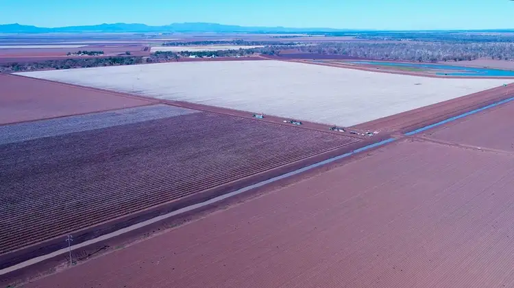 Fourth view of Homely rural property listing, 275 Spring Plains Road, Narrabri NSW 2390