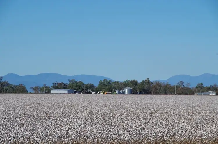 Fifth view of Homely rural property listing, 275 Spring Plains Road, Narrabri NSW 2390