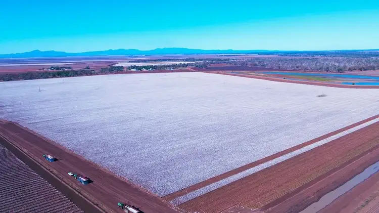 Sixth view of Homely rural property listing, 275 Spring Plains Road, Narrabri NSW 2390