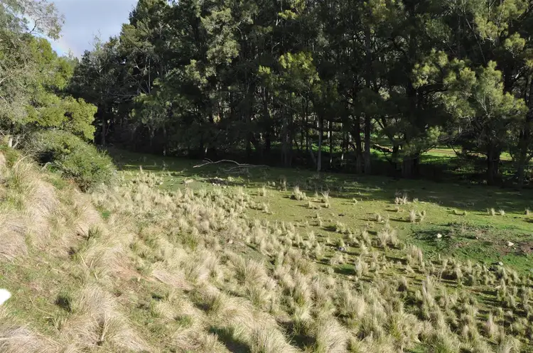 Fifth view of Homely rural property listing, Lot 17 Carters Rd, Stewarts Brook NSW 2337