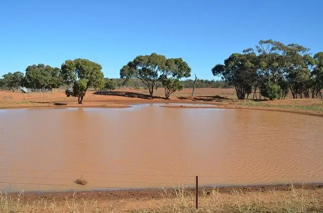 * Box Plains, Cobar NSW 2835