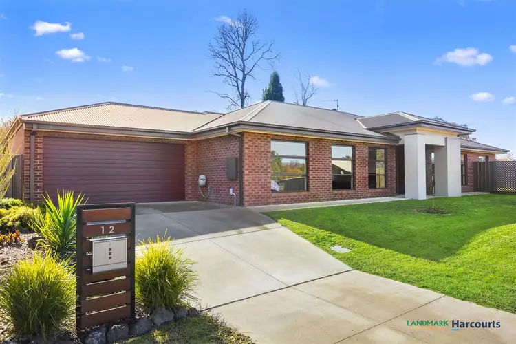Main view of Homely house listing, 12 Manser Rise, Alexandra VIC 3714