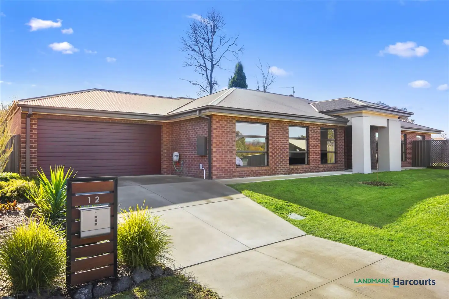 Main view of Homely house listing, 12 Manser Rise, Alexandra VIC 3714