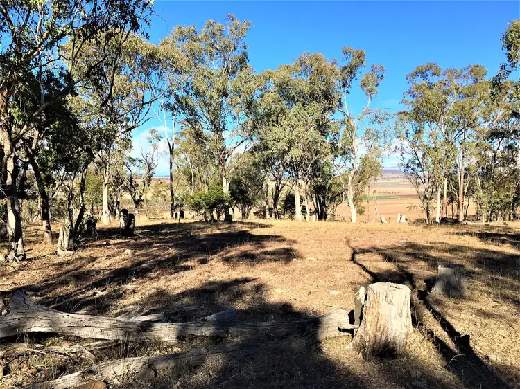 Third view of Homely rural property listing, 39 Saddletop Road, Clifton QLD 4361