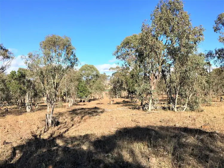 Seventh view of Homely rural property listing, 39 Saddletop Road, Clifton QLD 4361