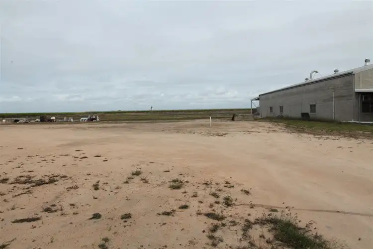 Fifth view of Homely land listing, 187 Drysdale Street, Brandon QLD 4808
