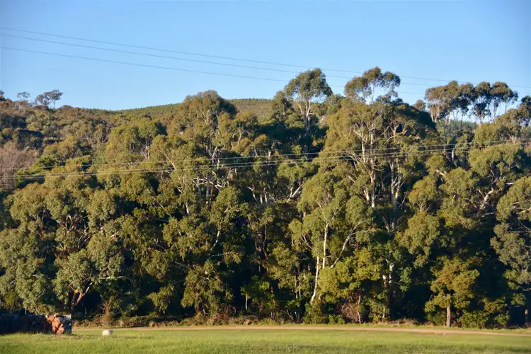 Fifth view of Homely house listing, 49 Melbourne Road, Creswick VIC 3363