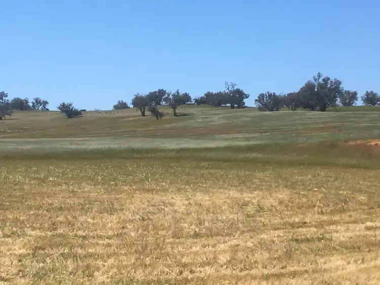 Fifth view of Homely rural property listing, Address available on request