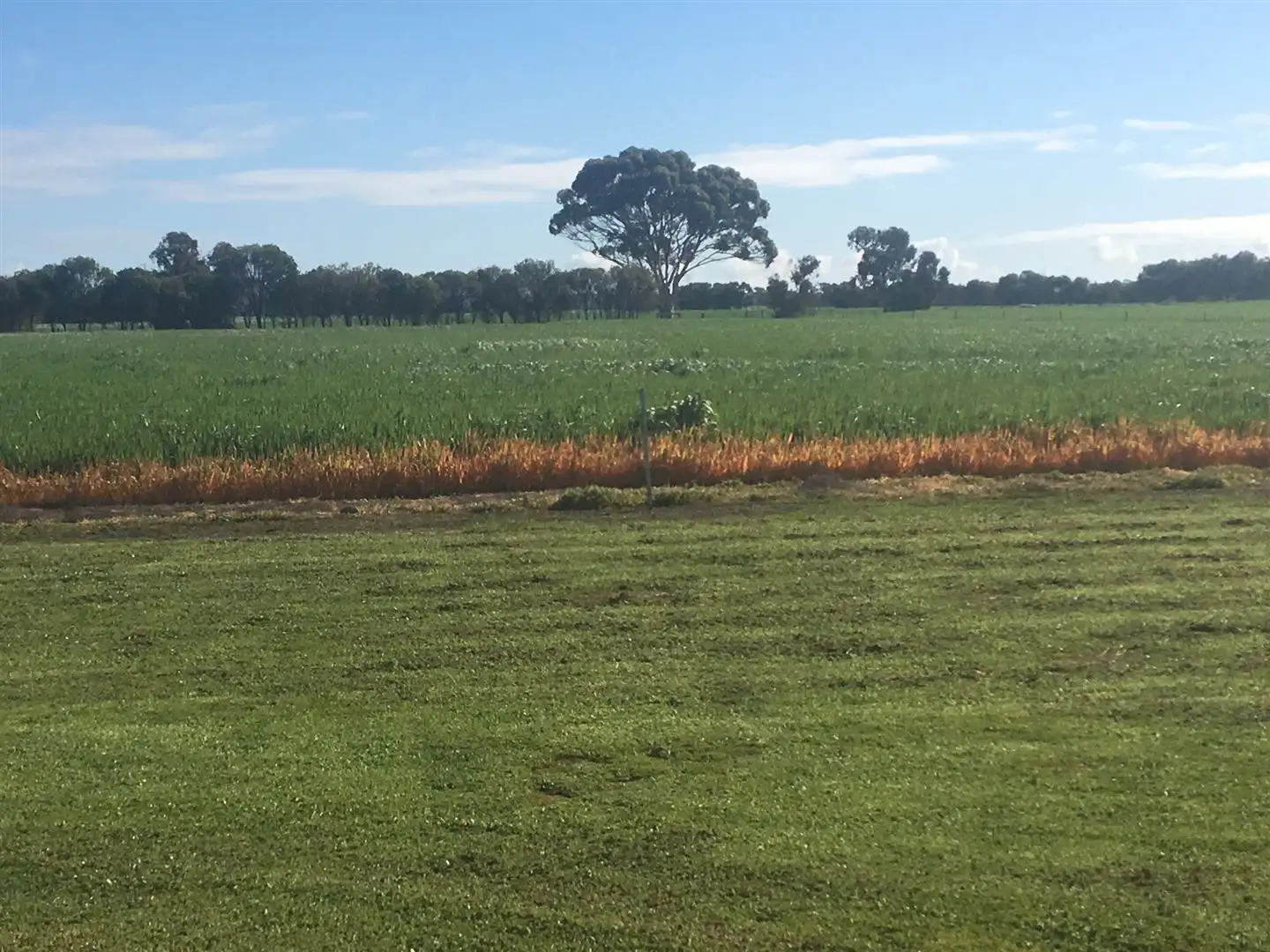 Main view of Homely rural property listing, Address available on request