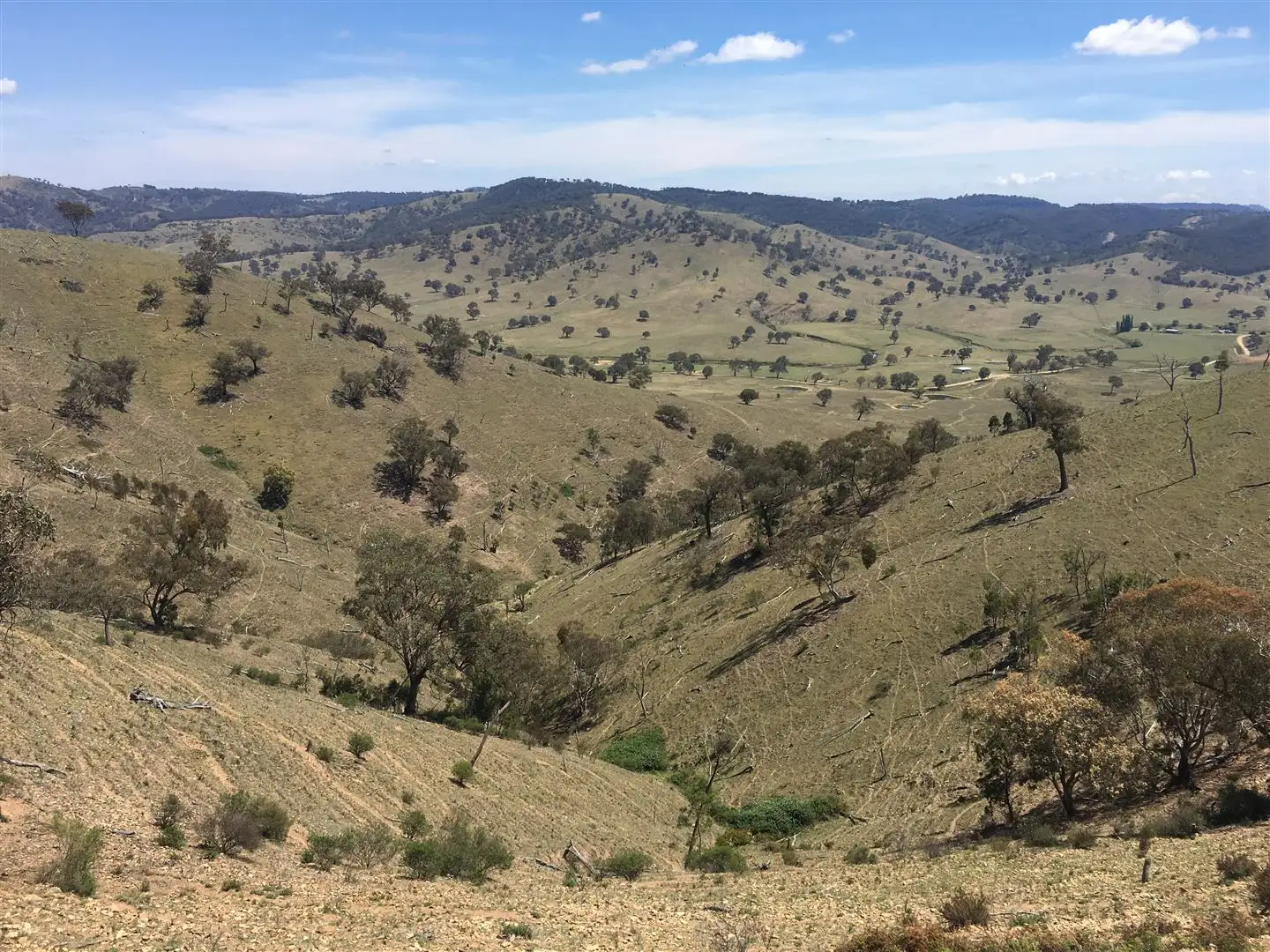 Main view of Homely rural property listing, Lot 3 / 1063 Crudine Rd, Mudgee NSW 2850