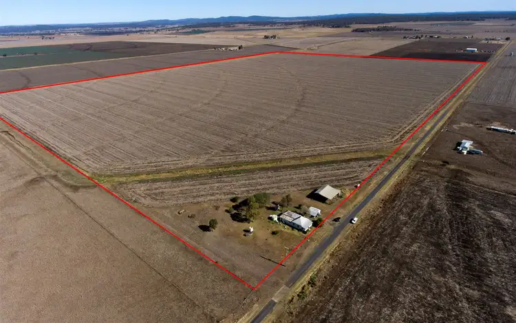 Second view of Homely rural property listing, 91 Cranitch Road, Clifton QLD 4361