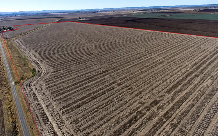 Third view of Homely rural property listing, 91 Cranitch Road, Clifton QLD 4361