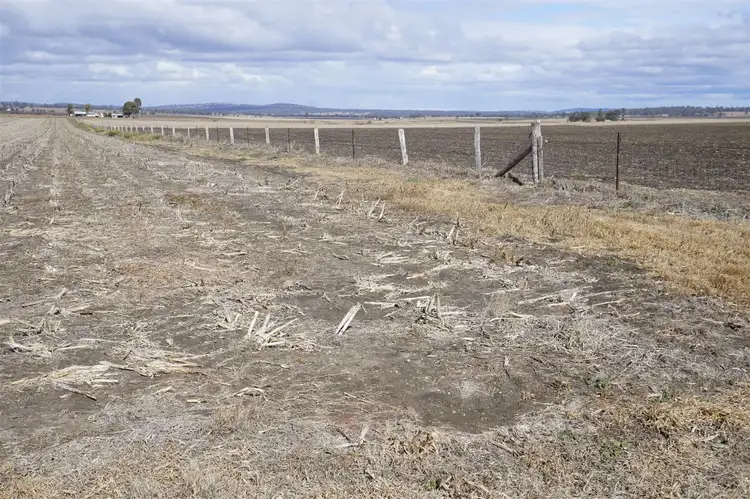 Sixth view of Homely rural property listing, 91 Cranitch Road, Clifton QLD 4361