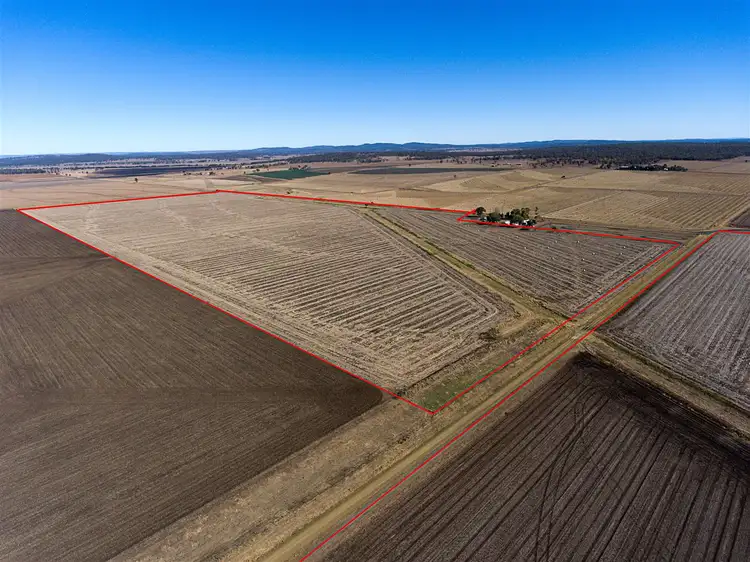 Seventh view of Homely rural property listing, 91 Cranitch Road, Clifton QLD 4361