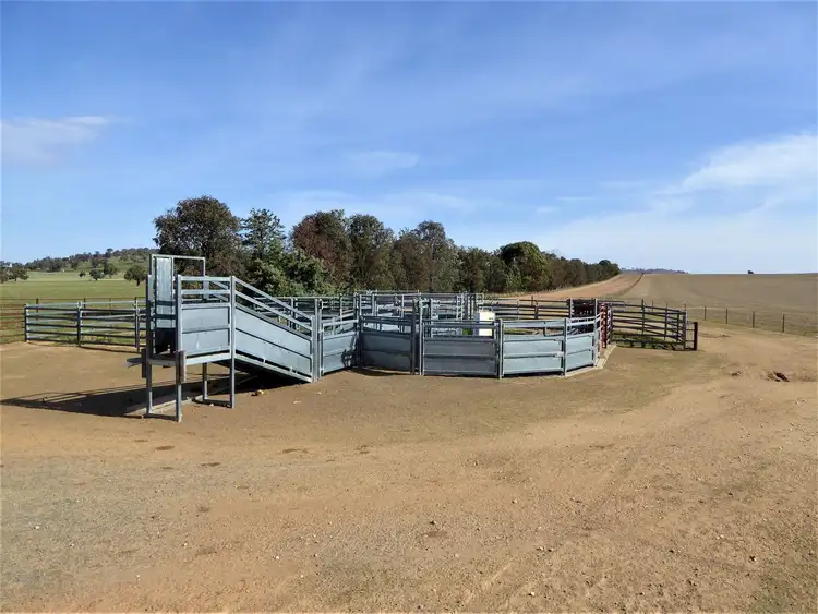 Seventh view of Homely rural property listing, 404 Fellow Hills Road, Morven NSW 2660