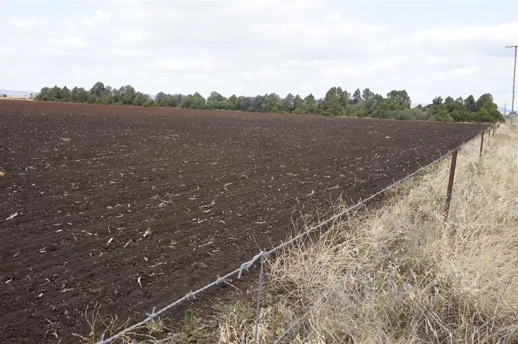 Second view of Homely rural property listing, Lot 2/42 Bellview Road, Clifton QLD 4361