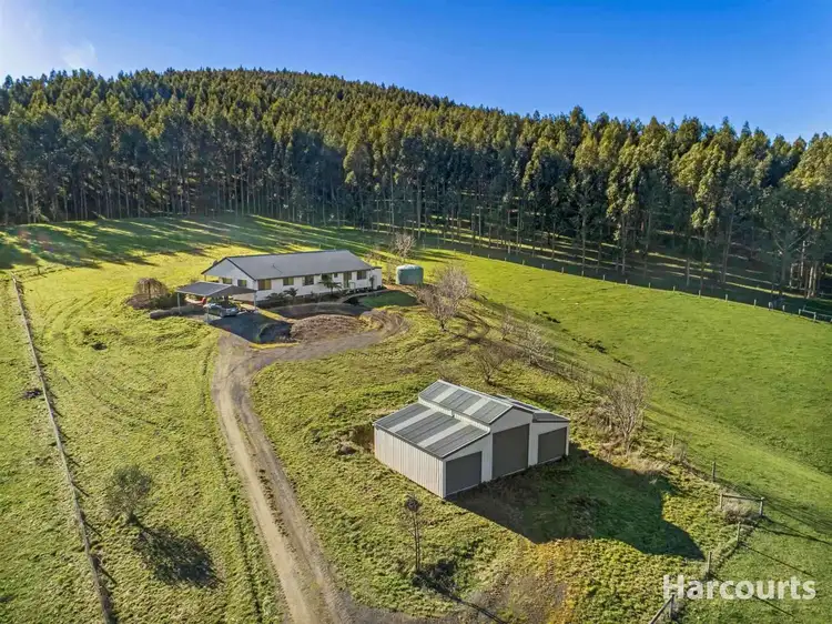 137 O'Tooles Road, Wild Dog Valley VIC 3953