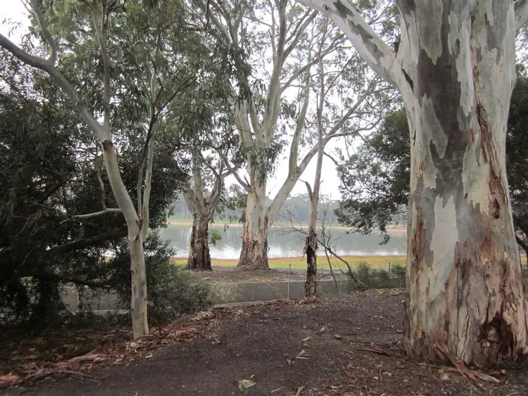 Third view of Homely land listing, 261 Lyons Road, Dernancourt SA 5075