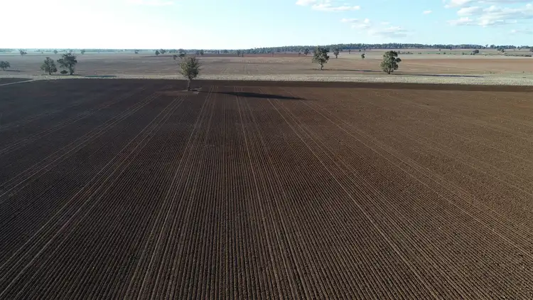 Sixth view of Homely rural property listing, Address available on request