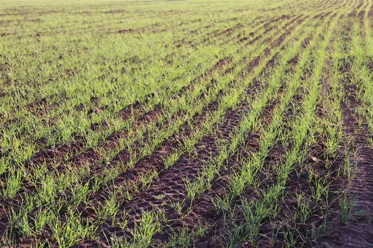 Seventh view of Homely rural property listing, Address available on request