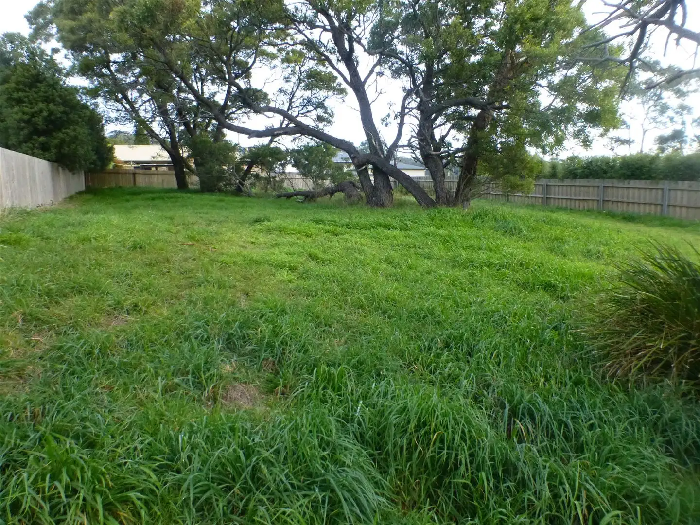 Main view of Homely land listing, 17 Ernest Street, Beauty Point TAS 7270