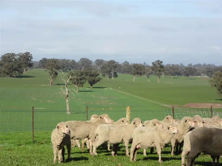 Third view of Homely rural property listing, 350 Moss Road, Tamleugh VIC 3669