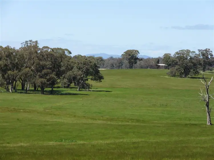 Fourth view of Homely rural property listing, 350 Moss Road, Tamleugh VIC 3669