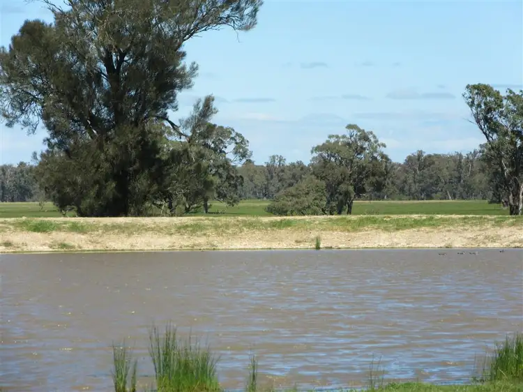 Fifth view of Homely rural property listing, 350 Moss Road, Tamleugh VIC 3669