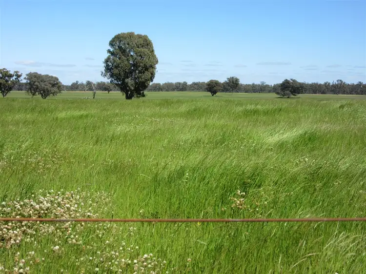 Sixth view of Homely rural property listing, 350 Moss Road, Tamleugh VIC 3669