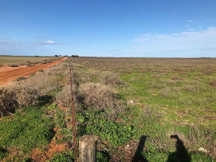 Fifth view of Homely rural property listing, S2134 Olson Road, Port Wakefield SA 5550