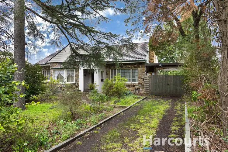 Fourth view of Homely house listing, 23 Boronia Road, Boronia VIC 3155