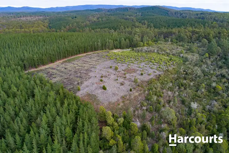 Third view of Homely land listing, . Peters Road, Goulds Country TAS 7216