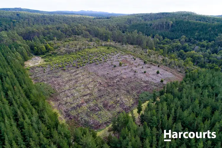 Fourth view of Homely land listing, . Peters Road, Goulds Country TAS 7216