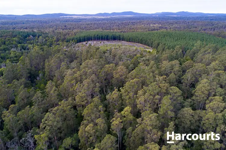 Sixth view of Homely land listing, . Peters Road, Goulds Country TAS 7216