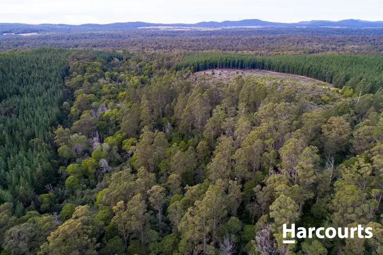 Seventh view of Homely land listing, . Peters Road, Goulds Country TAS 7216