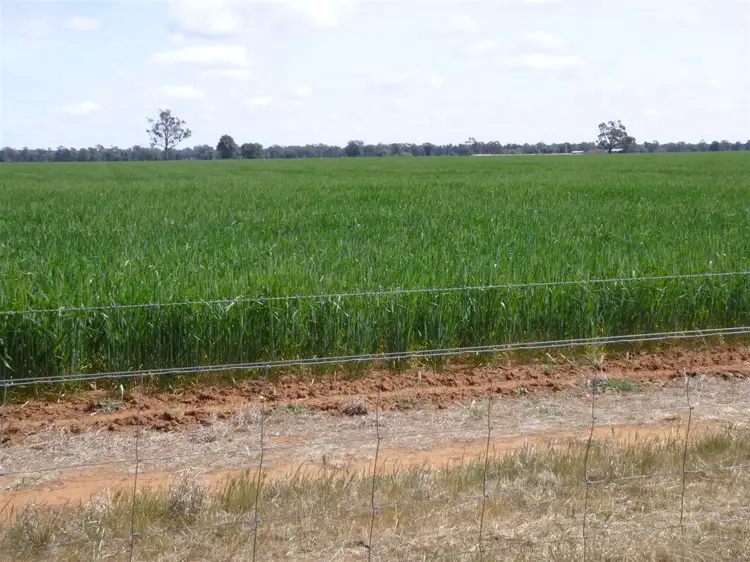 Main view of Homely rural property listing, 436 "Burra Downs" Burra Road, Tullamore NSW 2874