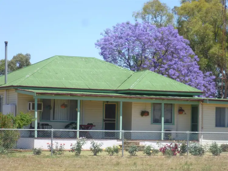 Fifth view of Homely rural property listing, 436 "Burra Downs" Burra Road, Tullamore NSW 2874