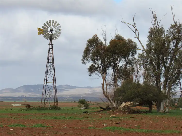 Lot 91 Chapman Road, Orroroo SA 5431