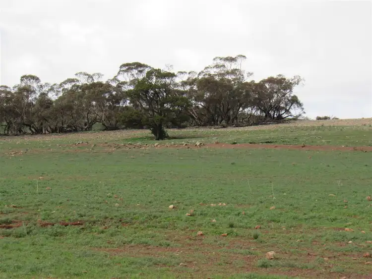 Second view of Homely rural property listing, Lot 91 Chapman Road, Orroroo SA 5431