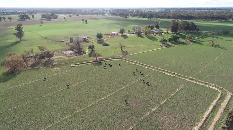 Main view of Homely rural property listing, Address available on request