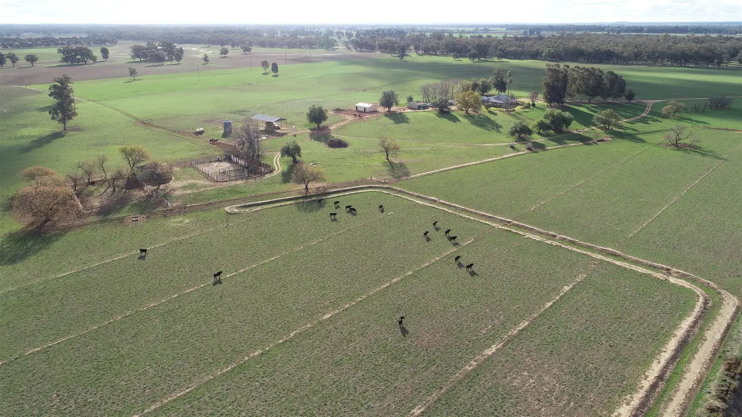Main view of Homely rural property listing, Address available on request