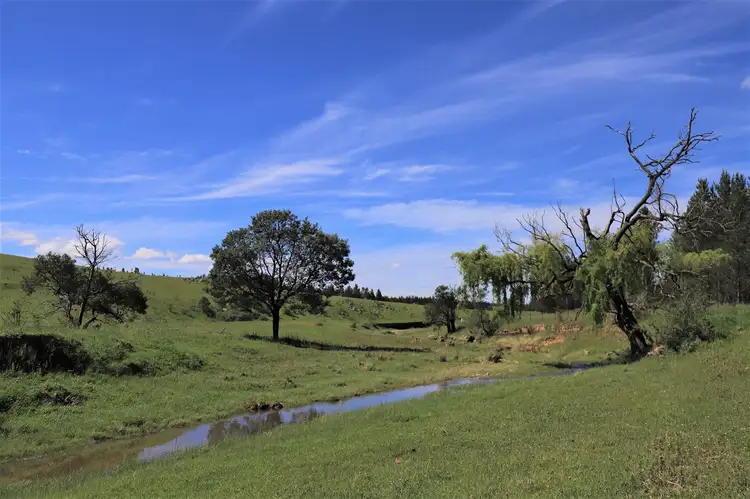 Main view of Homely rural property listing, 1976/Corrowong Corrowong Road, Delegate NSW 2633